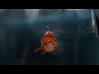 BMW Curve Ahead View | so geht der Blick um die Kurve