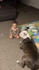 Dog and Toddler Adorably Play Together in Pure Joy