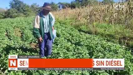 TEMEN ESCASEZ DE VERDURAS Y HORTALIZAS POR FALTA DE COMBUSTIBLES
