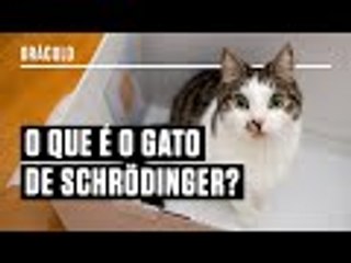 Desvendando o Gato de Schrödinger: Perguntas e Respostas sobre Física Quântica 🐱