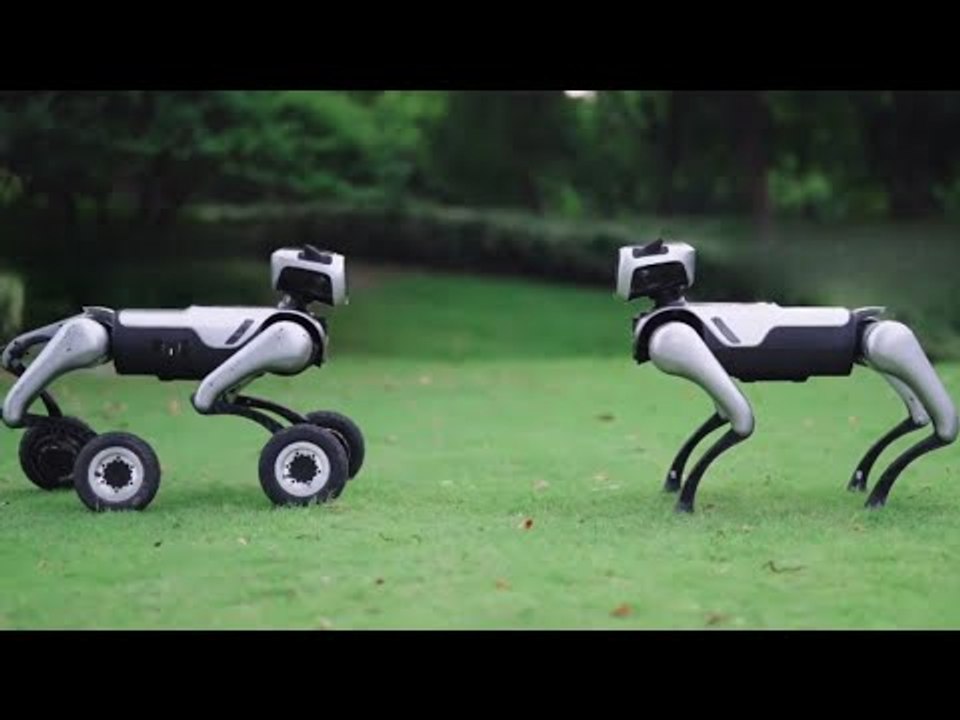 Magiclab magicdog-w & magicdog-pro roboterhund | räder, beine & ki kombiniert