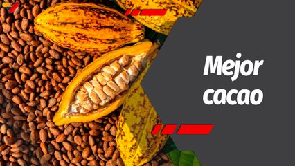 Programa 360º | Cacao venezolano entre los 50 mejores del mundo
