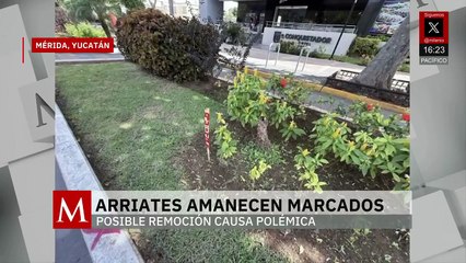 En Yucatán, arriates amanecen marcados a modo de protesta de los ciudadanos y restaurantes
