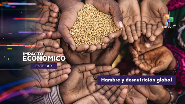 Revisaremos datos sobre el hambre y la desnutrición global IMPACTO ECONÓMICO ESTELAR 31-10-2025