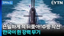 [자막뉴스] '핵추진 잠수함' 보유국 된다면... 만만찮은 후속 과제 / YTN