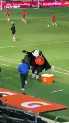 Monty, la mascota de Rayadas ya se disfraza para este Día de Muertos