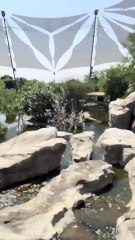 beautiful view of sharjah (UAE)