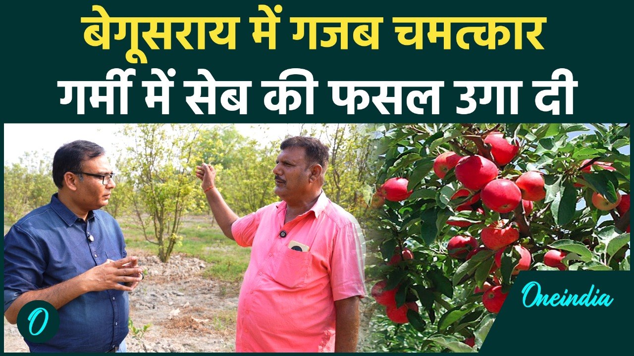 Begusarai Apple farming: गर्म मौसम में Rajesh Kumar ने सेब की खेती से कैसे कमाये करोड़ों रुपये