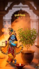 Jai shree krishna ❤️🙏🌺