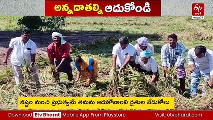 ఓరుగల్లులో పంటలను ముంచిన 'మొంథా' - అరిగోస పడుతున్న అన్నదాత