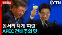 APEC 건배주로 '호랑이 유자 생막걸리'...시진핑 주석 반응은 [현장영상+] / YTN