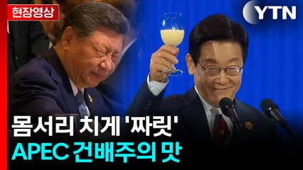 APEC 건배주로 '호랑이 유자 생막걸리'...시진핑 주석 반응은 [현장영상+] / YTN