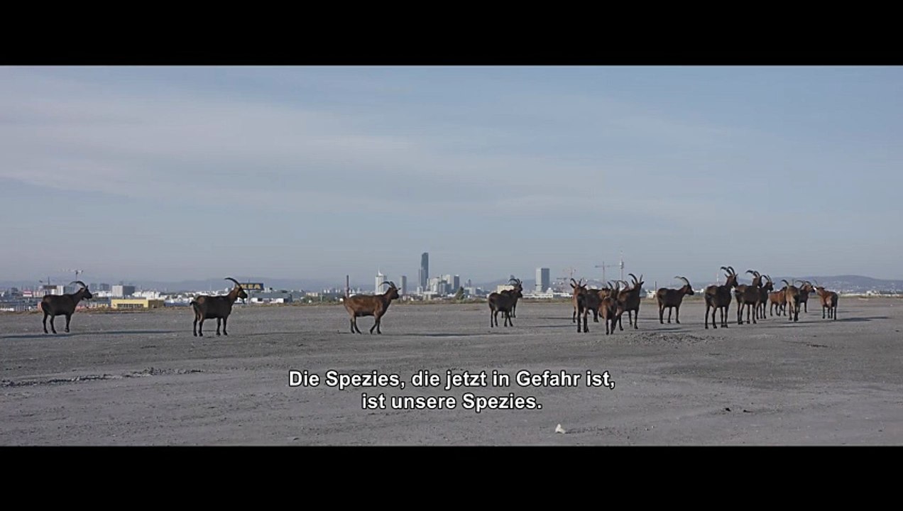 Elements of(f) Balance Film