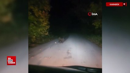 Karabük'te sürücü ayıyı kovaladı