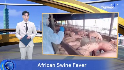African Swine Fever in Taiwan Shows High DNA Match to China, Vietnam Strains