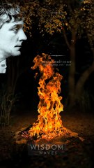 The Most Powerful Stoic Quotes For Everyday Life