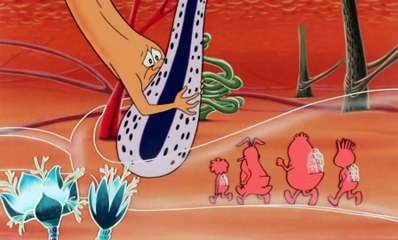 Esplorando il corpo umano 13 La Pelle