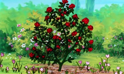 Esplorando il corpo umano 22 La Vaccinazione