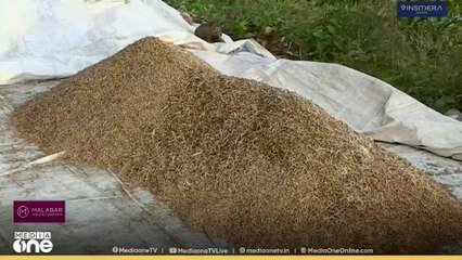 റേഷൻ കടയിൽ എത്തേണ്ട അരി മില്ലുടമകൾ വിദേശത്തേക്ക് കയറ്റി അയക്കുന്നു; ​ഗുരുതര ആരോപണവുമായി കർഷകർ