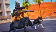 Fortnite stellt die neuen Sidekicks vor und ihr könnt jetzt mit Hunden, Raptoren und mehr aufs Schlachtfeld ziehen