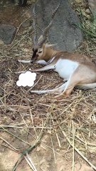 Do you wake up like that too?