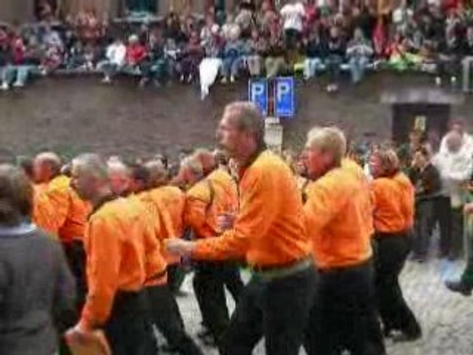 doudou 2008 - les remparts "il etait une bergere"