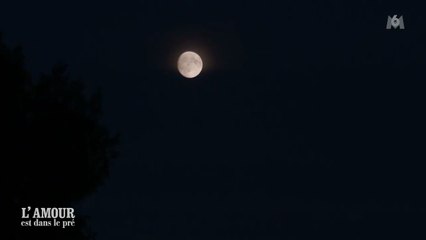 L'amour est dans le pré : Célia agacée par Florent