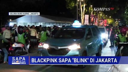 Antusias Blink di Konser Blackpink GBK Jakarta | SAPA MALAM