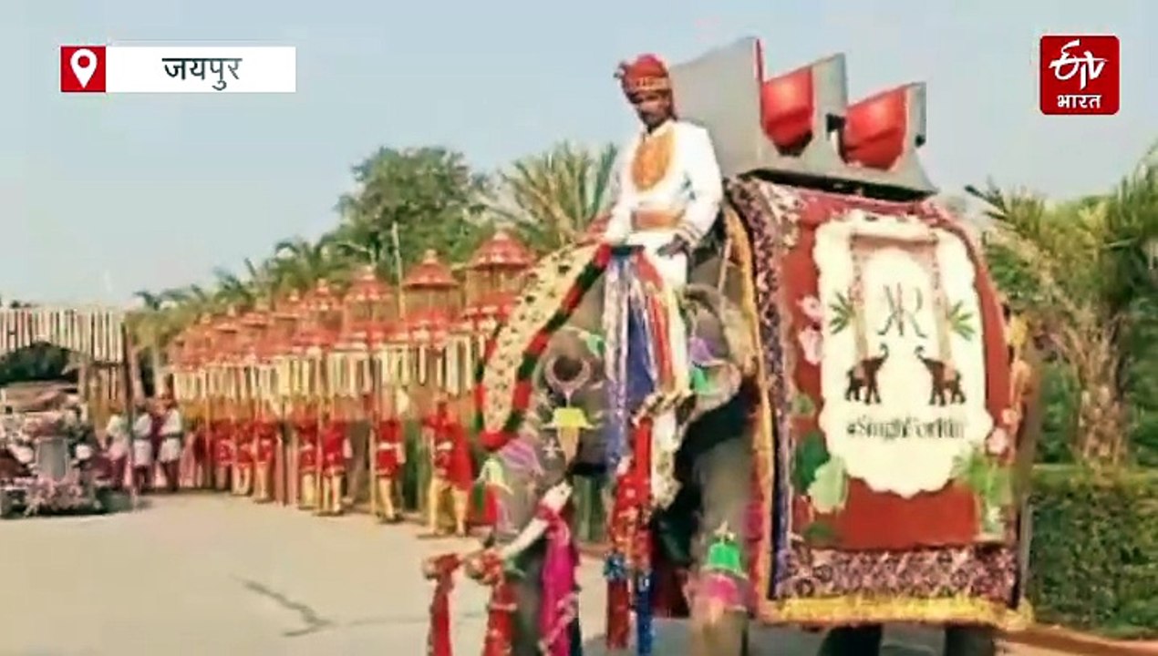 देवउठनी एकादशी पर 80 फीसदी हाथियों की बुकिंग फुल, कराएंगे शाही शादी का अहसास, दूरी के हिसाब से इतना है चार्ज