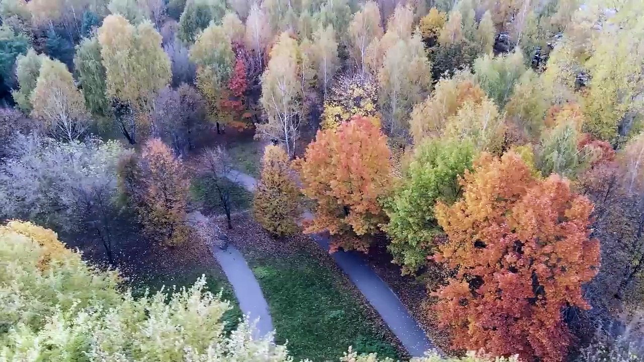 OS 3 PRIMEIROS PASSOS PARA A RIQUEZA | PRIMO POBRE | ALCANÇAR RIQUEZA ECONOMIZANDO SEU DINHEIRO