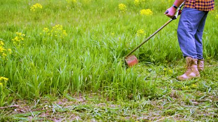 Messina, il Comune si dedica alla manutenzione delle aree verdi private