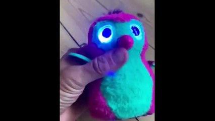 laugh till you pee, worlds funniest clips #15 (2025)