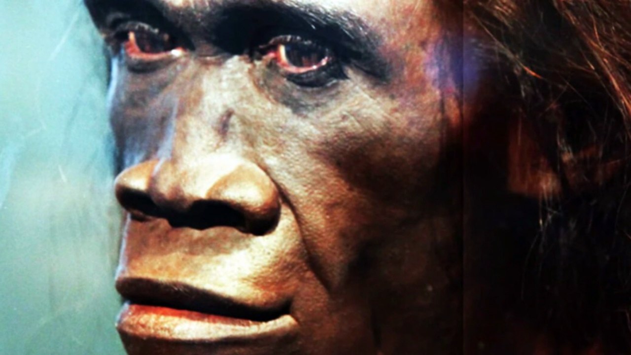 The Dubois Java Discovery: Rewriting Our Human Origins