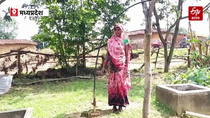 महंगाई पर 'गोंडरी' का प्रहार, बाड़ी में उगाई जाती है सब्जियां, नहाने और बर्तन धोने के पानी से होती है सिंचाई