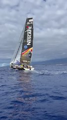 Les concurrents du Globe40 sont arrivés à bon port...Réunion