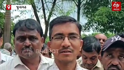 જુનાગઢમાં કમોસમી વરસાદથી મગફળીનો તૈયાર પાક બગડયો, કેશોદ તાલુકાના ખેડૂતોએ સહાયની કરી માંગ