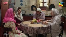 Ek Jhooti Kahani - Mega Episode 15 [Part 01] - Sponsors Lifebuoy Shampoo & Leather Galleria, HUM TV