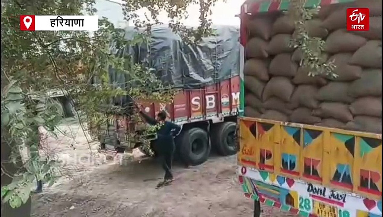 करनाल में धान घोटाला, 30 हजार से अधिक धान के कट्टे कम मिले, दूसरे राज्यों से भी ट्रक आ रहे, केस दर्ज