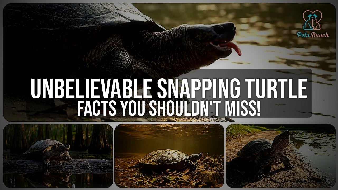 Mind-Blowing Facts About Snapping Turtles You Never Knew!