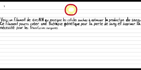 Un circARN utilisable pour traiter la perte de sang dans le futur.
