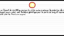 Un circARN utilisable pour traiter la perte de sang dans le futur.