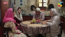Ek Jhooti Kahani - Mega Episode 15 [Part 01] -1st November 2025 - HUM TV