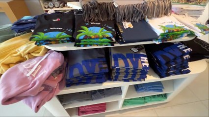 Palm Jumeirah Dubai VIP Tour 2025 | The View, Atlantis