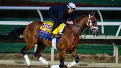 Previewing the Fierce Line-Up at the Breeders' Cup Classic
