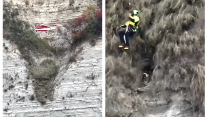 Ravenna, cani scivolano su una parete rocciosa: i vigili del fuoco li salvano con l'elicottero e il Gps