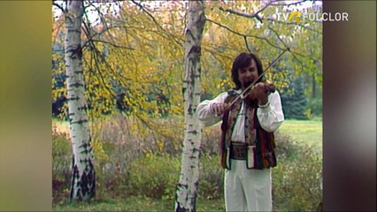 Stefan Cigu - Instrumental vioara (Hora satului - arhiva TVR)
