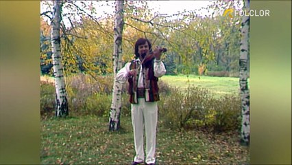 Stefan Cigu - Instrumental vioara 2 (Hora satului - arhiva TVR)