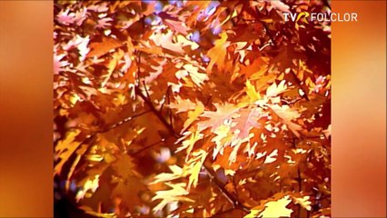 Matilda Pascal Cojocarita - Hai la joc, flacai si fete (Hora satului - arhiva TVR)