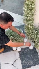 Η διακόσμηση της εκκλησίας για το γάμο της Στέλλας Πάσσαρη