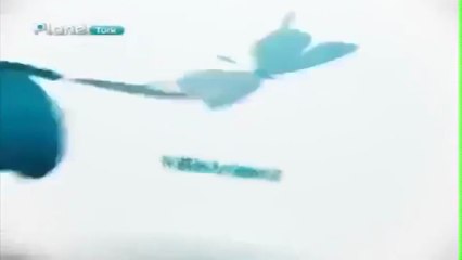 Filiz Akın Aşkım Günahımdır (1968) Dram Romantik